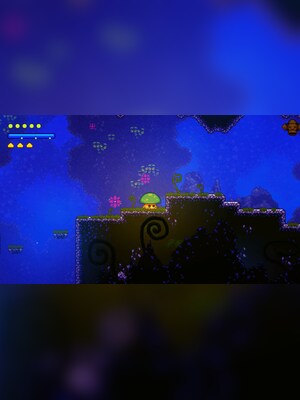 gallery-image-item-5