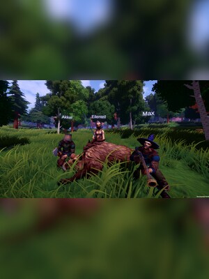 gallery-image-item-2