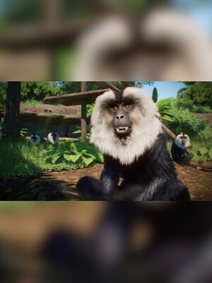 gallery-image-item-2