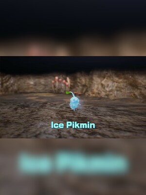 gallery-image-item-2