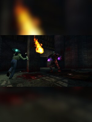 gallery-image-item-2