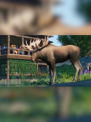 gallery-image-item-5