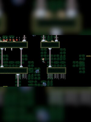 gallery-image-item-2