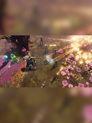 gallery-image-item-1