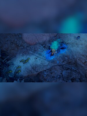 gallery-image-item-2