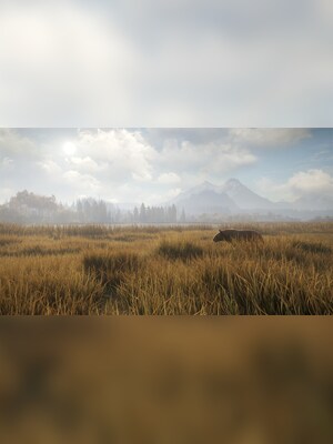 gallery-image-item-0