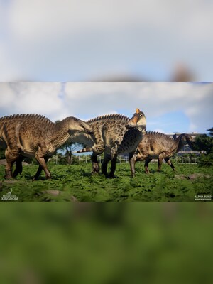 gallery-image-item-5