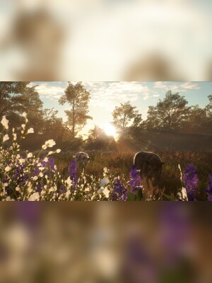 gallery-image-item-4