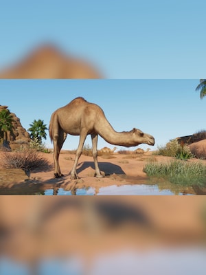 gallery-image-item-4