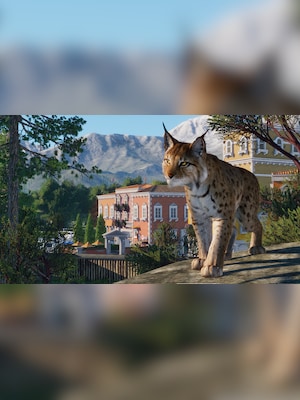 gallery-image-item-2