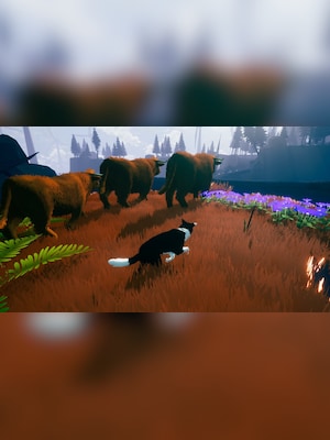 gallery-image-item-1