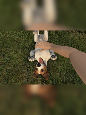 gallery-image-item-2