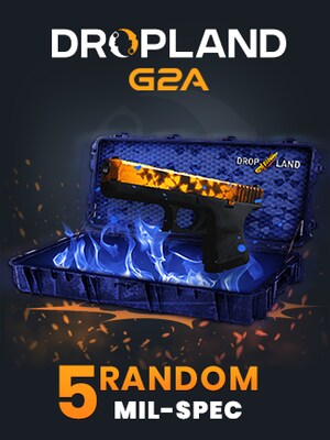 Counter Strike 2 RANDOM 5 CASE MIL-SPEC SKIN - BY DROPLAND.NET Key - GLOBAL - 0
