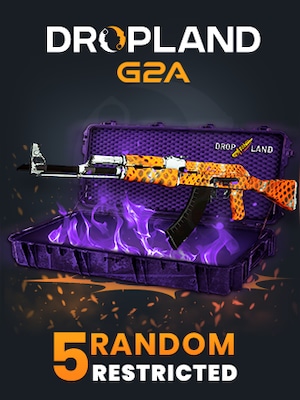 Counter Strike 2 RANDOM 5 CASE RESTRICTED SKIN - BY DROPLAND.NET Key - GLOBAL - 0