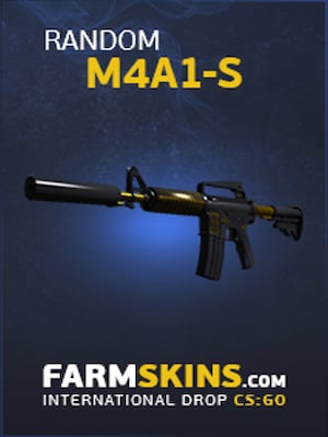 Counter-Strike: Global Offensive RANDOM M4A1-S SKIN FARMSKINS.COM GLOBAL - 3
