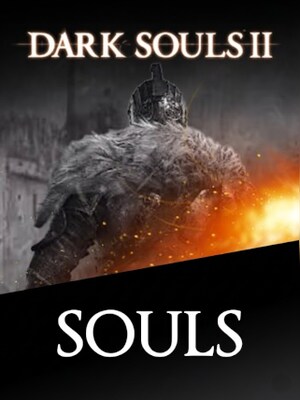 Dark Souls 2 Souls Max Level Pack (PC, PSN) - BillStore - GLOBAL - 0