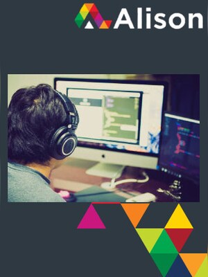 Diploma in C Programming - Revised 2017 Course Alison GLOBAL - Parchment Diploma Framed - 0