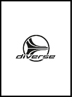 Diverse Gift Card 500 PLN - Diverse Key - POLAND - 0