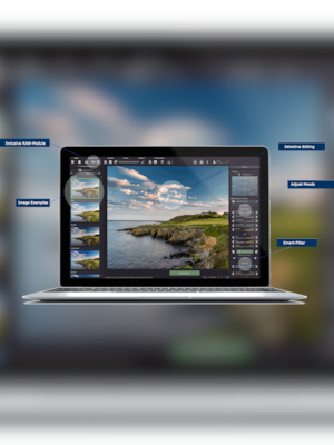 EMOTION Projects Professional (2 PC, Lifetime) - Project Softwares Key - GLOBAL - 2