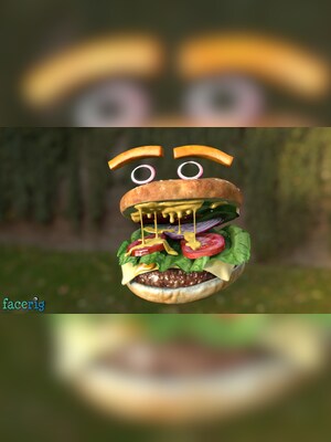 FaceRig (PC) - Steam Key - EUROPE - 15