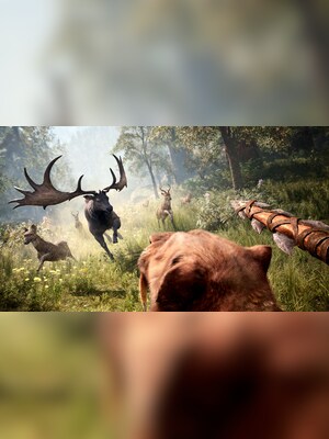 Acheter Far Cry Primal (PC) - Ubisoft Connect Clé - GLOBAL - Pas cher