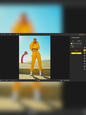 Movavi Photo Editor 2023 (1 PC, 1 Year) - Movavi Key - GLOBAL - 3