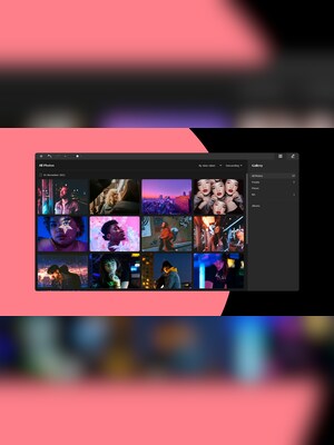 Movavi Picverse Photo Editor (PC) (1 Device, 1 Year) - Movavi Key - GLOBAL - 2