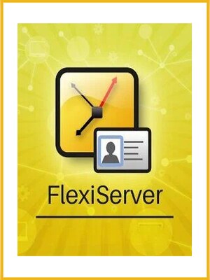 NCH: FlexiServer Productivity & Attendance (PC) (1 Device, Lifetime)  - NCH Key - GLOBAL - 0