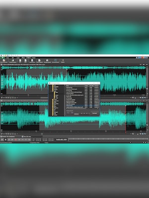 NCH: WavePad Audio Editing | Master's Edition (PC) (1 Device, Lifetime) - NCH Key - GLOBAL - 7