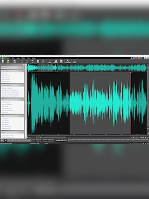 NCH: WavePad Audio Editing (PC) (1 Device, Lifetime)  - NCH Key - GLOBAL - 4