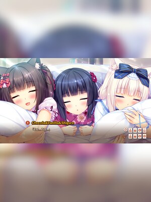 NEKOPARA Vol. 0 (PC) - Steam Account - GLOBAL - 5