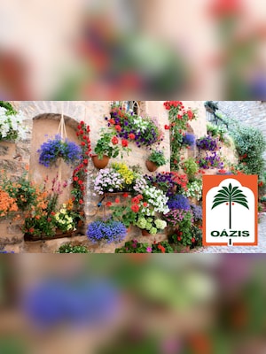 OAZIS Gift Card 10000 HUF - Key - HUNGARY - 2