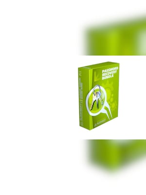 Password Recovery Bundle Enterprise Edition (2 PC Lifetime) - Official Website Key - GLOBAL - 2