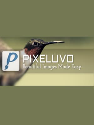 Pixeluvo Steam Key GLOBAL - 0