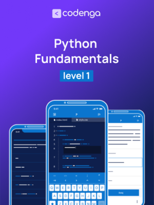 Python Fundamentals - Level 1 - Course - Codenga.com - 0