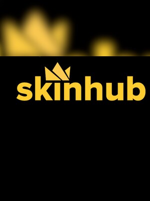 Skinhub Gift Card 100 USD - 2