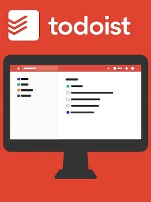 Todoist Pro 6 (1 Device, 6 Months) - todoist.com Key - GLOBAL - 0