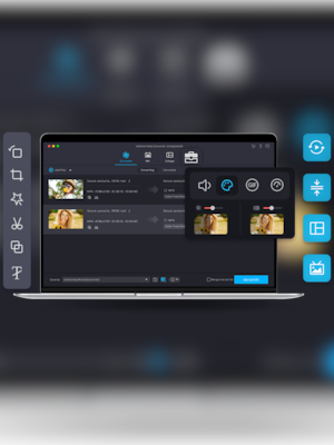 Vidmore Video Converter (PC) (1 Device, 1 Year)  - Vidmore Key - GLOBAL - 3