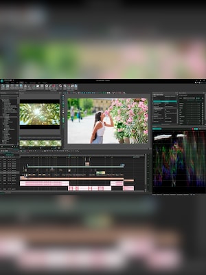 VSDC Pro Video Editor (iOS) (1 Device, 6 Months)  - VSCD Key - GLOBAL - 3