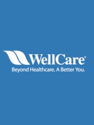 WellCard Gift Card 250 EUR - Wellcard Key - AUSTRIA - 0