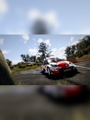 Buy WRC 10 FIA World Rally Championship (PC) Steam Key