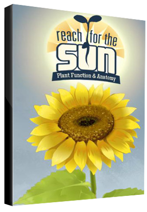 Reach for the Sun