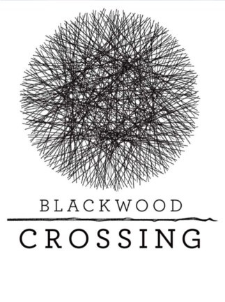 Blackwood Crossing Xbox Live Key UNITED STATES - 1