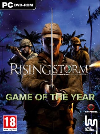 Rising Storm: Game of the Year Edition Steam Key GLOBAL - 1