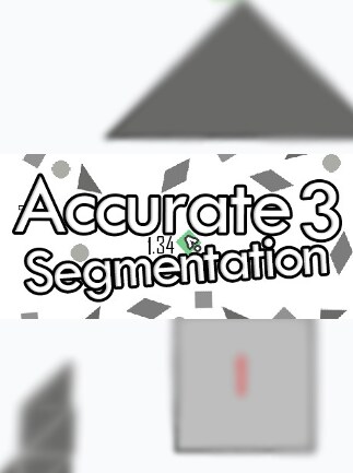 Accurate Segmentation 3