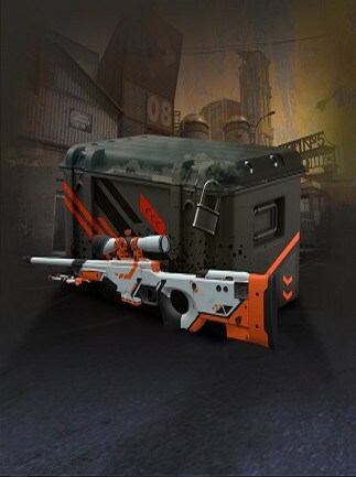 AWP CS:GO Random Skin Case