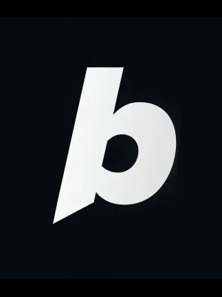 Bolt.new Pro
