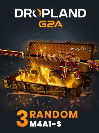 Counter Strike 2 RANDOM 3 CASE M4A1-S SKIN