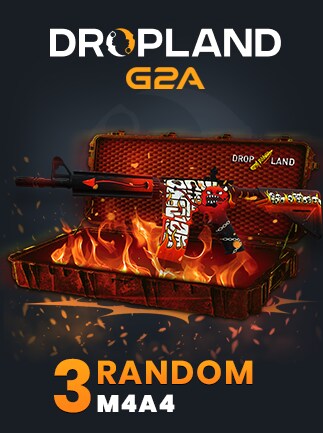 Counter Strike 2 RANDOM 3 CASE M4A4 SKIN