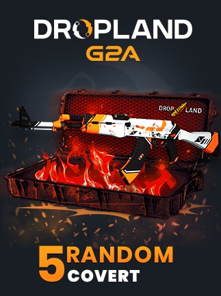 Counter Strike 2 RANDOM 5 CASE COVERT SKIN